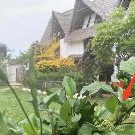 Botanica Eco Lodge Michamvi 외부 사진