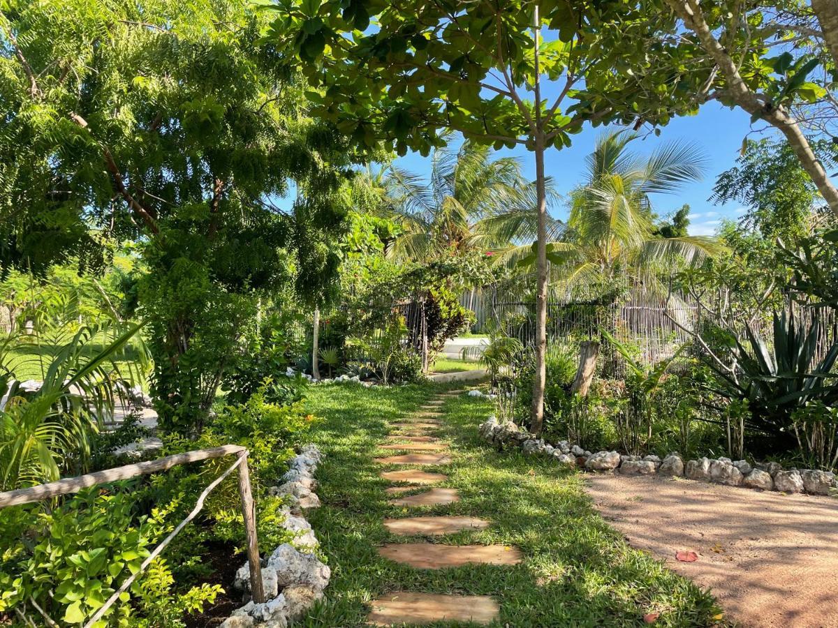 Botanica Eco Lodge Michamvi 외부 사진