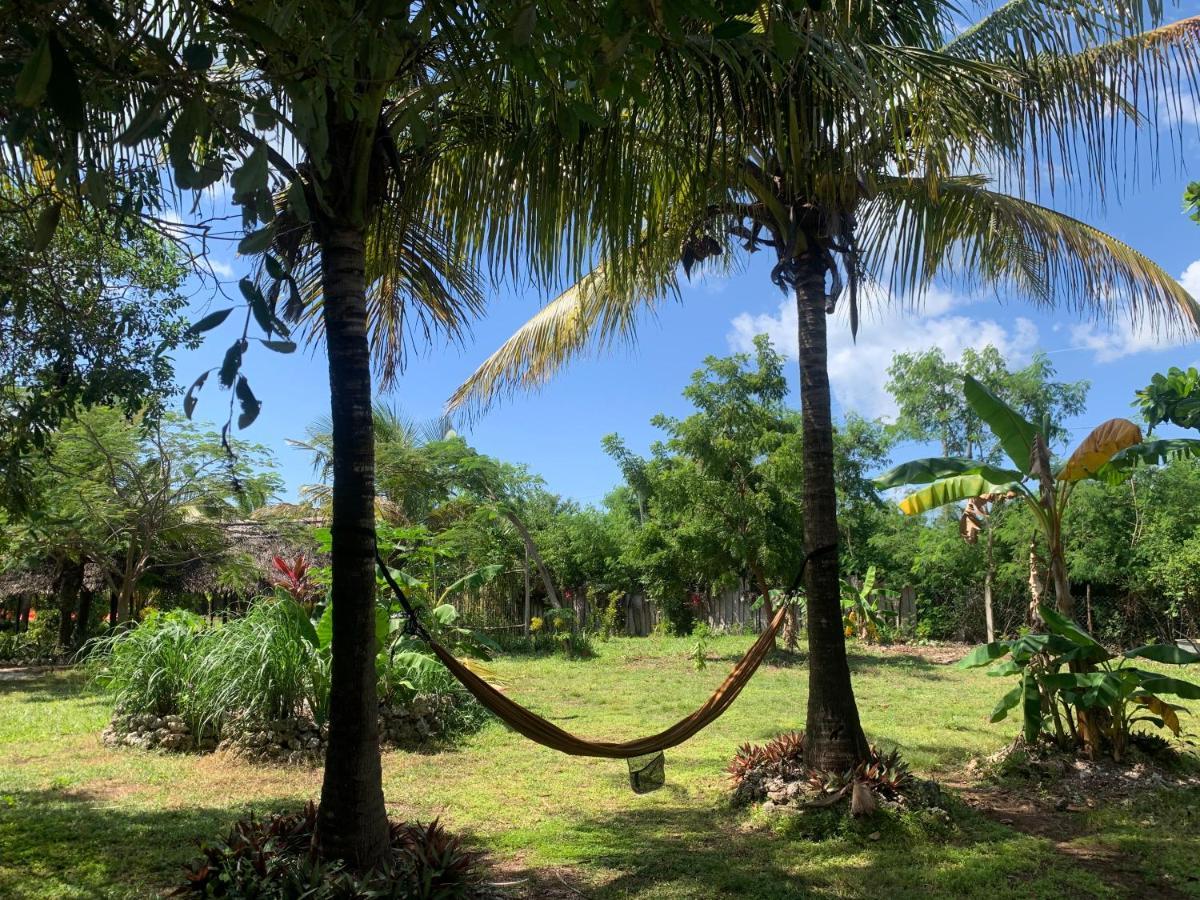 Botanica Eco Lodge Michamvi 외부 사진