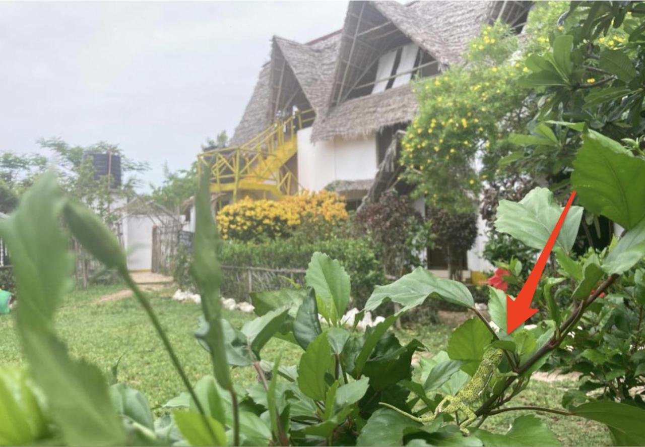 Botanica Eco Lodge Michamvi 외부 사진